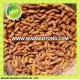 Food Of Human Frozen Silkworm Chrysalis